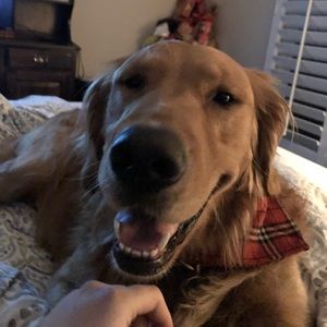 Meet your Posher, Krister